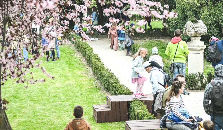 Zobraziť fotografiu