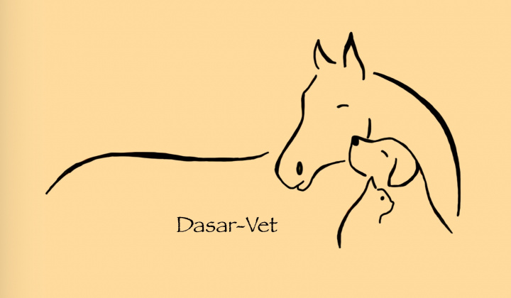 Fotka - Výjazdový veterinár v Limbachu dňa 29. novembra 2025 (sobota)