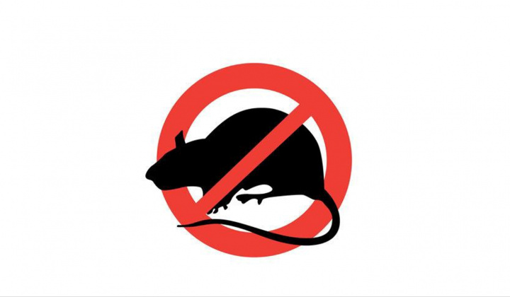 Fotka - JARNÁ DERATIZÁCIA